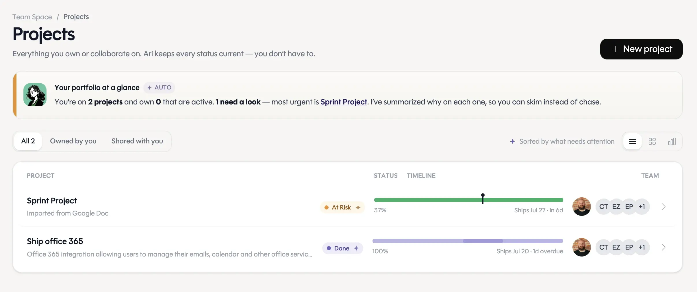 Ari's project list — every project you own, with status and owners